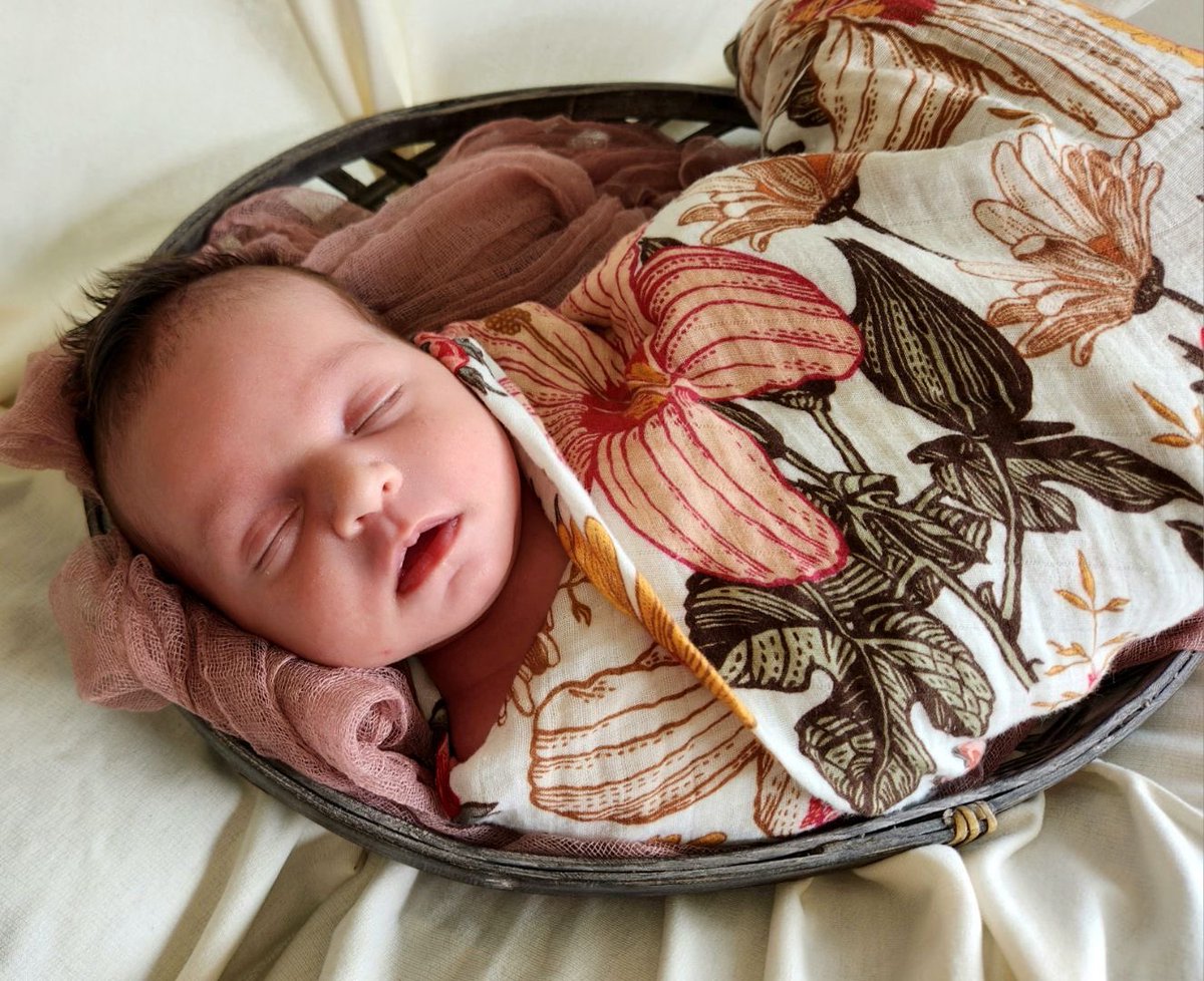 FlowersJayden's tweet photo. Nova Claire//Month 1🤍 https://t.co/ybG9Rtbrq6