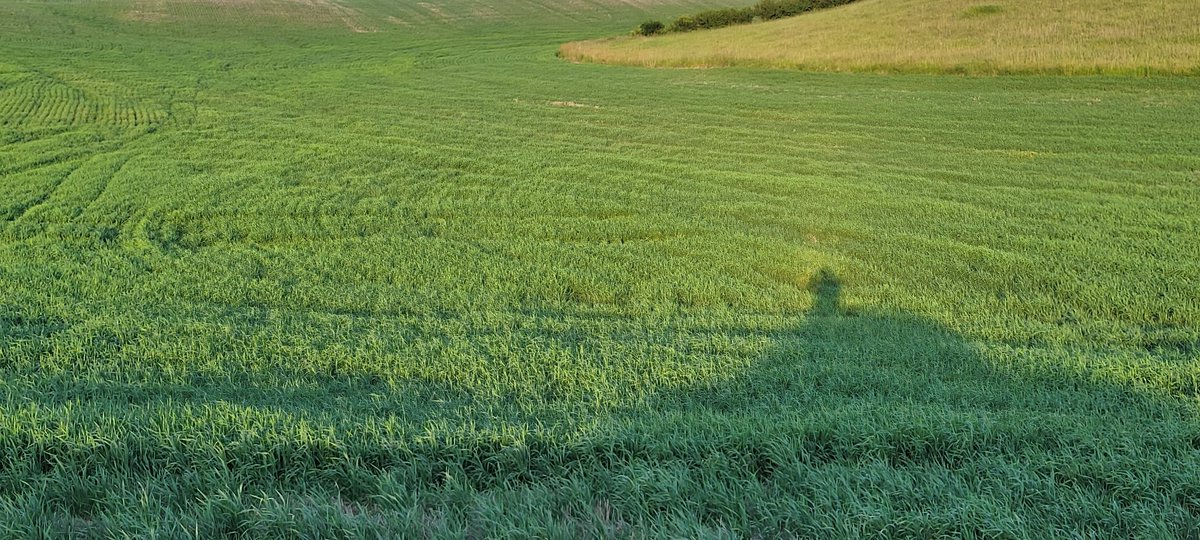 Russell Fersch tweet media