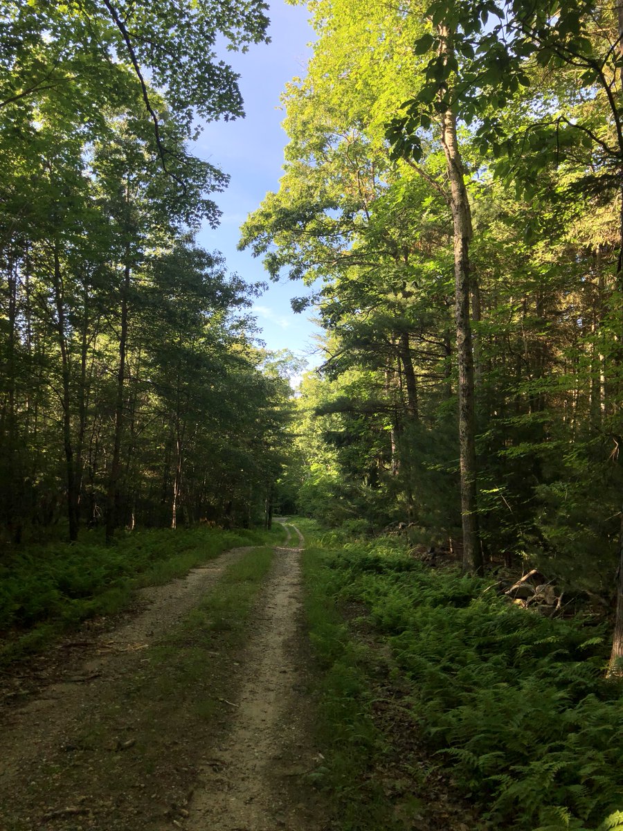 one more voice on Twitter: "RT @sforrest: Today was hill day, so I