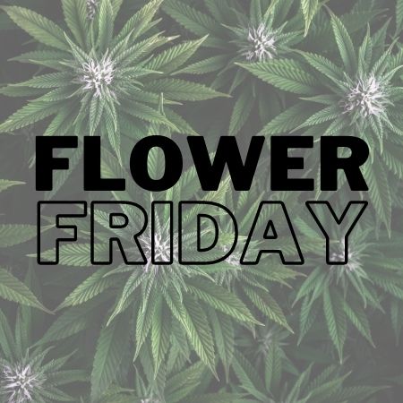 GM crypto world 💛💚❤️

#NFT #NFTCommunity