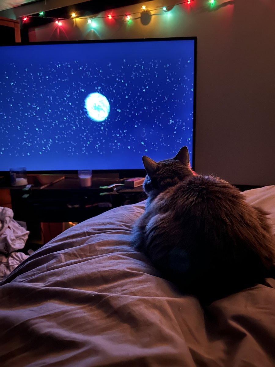 My forever tv buddy❤️ #CatsAreFamily #catgirl #KittyTwitter