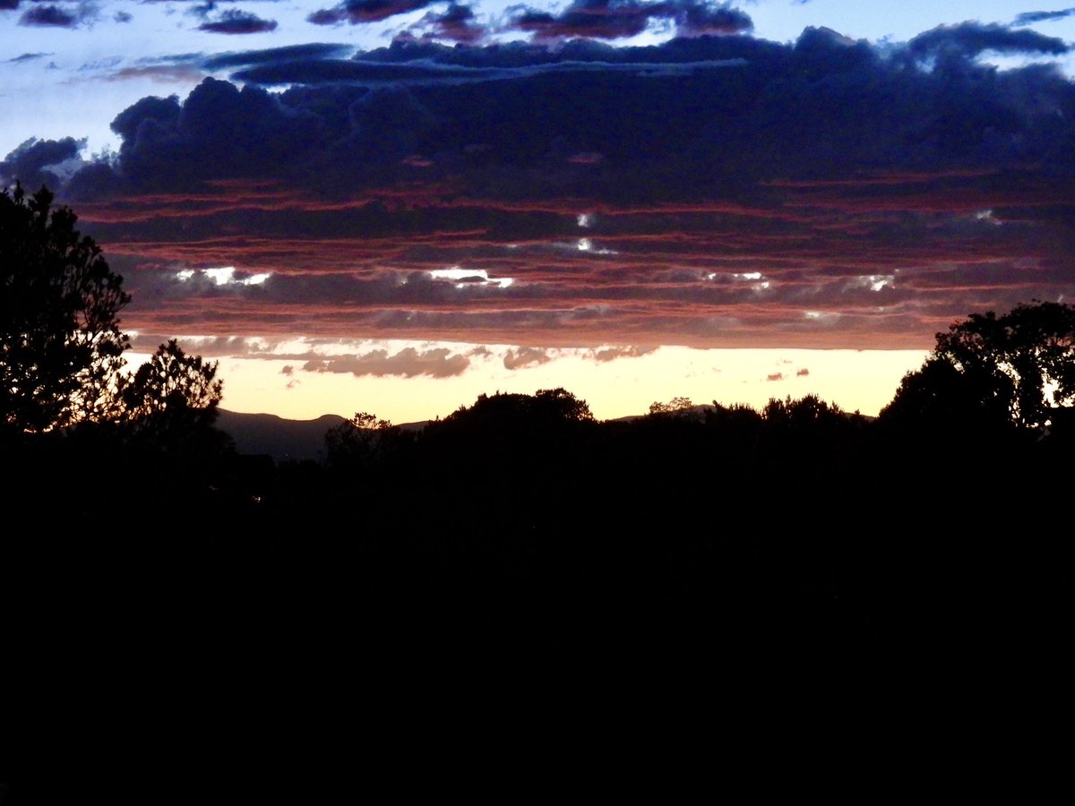 Paul Strode tweet media