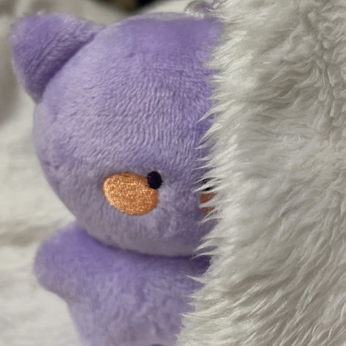 RT 1분 쪼꿍이를 드려요💜

창균아 솔로앨범 발매 축하해🌹
다치지 않고 건강하게 활동하길 바랍니다🐈‍⬛
#OVERDRIVE🛞
#아이엠 #창균