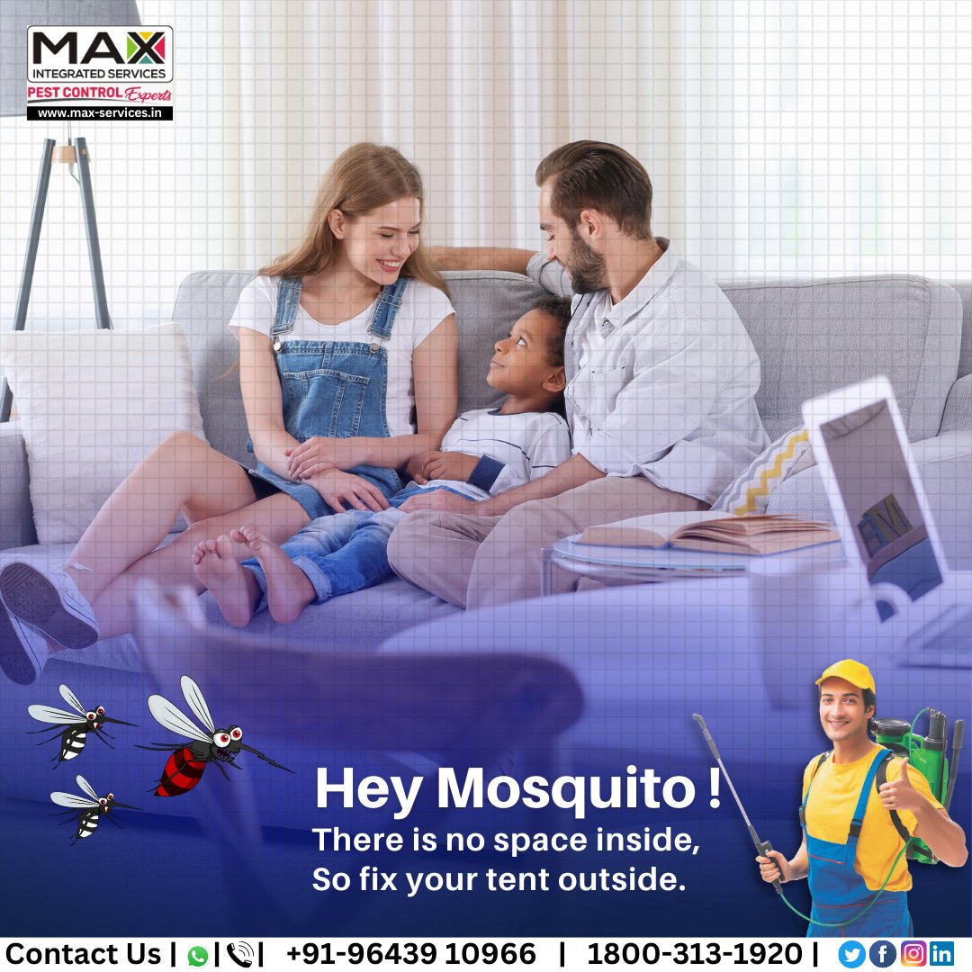 IntegratedMax's tweet photo. Zero tolerance for dengue! Eliminating dengue breeding sites is a top priority for Max Integrated Services.
๐96439 10966
๐https://t.co/K5b7JVqmhP
#MaxIntegratedServices #MIS #StopDengue #Dengue #Mosquitoes #MosquitoesControl #ProfessionalTreatment #Services #PestFree https://t.co/VMuQfYj3fi