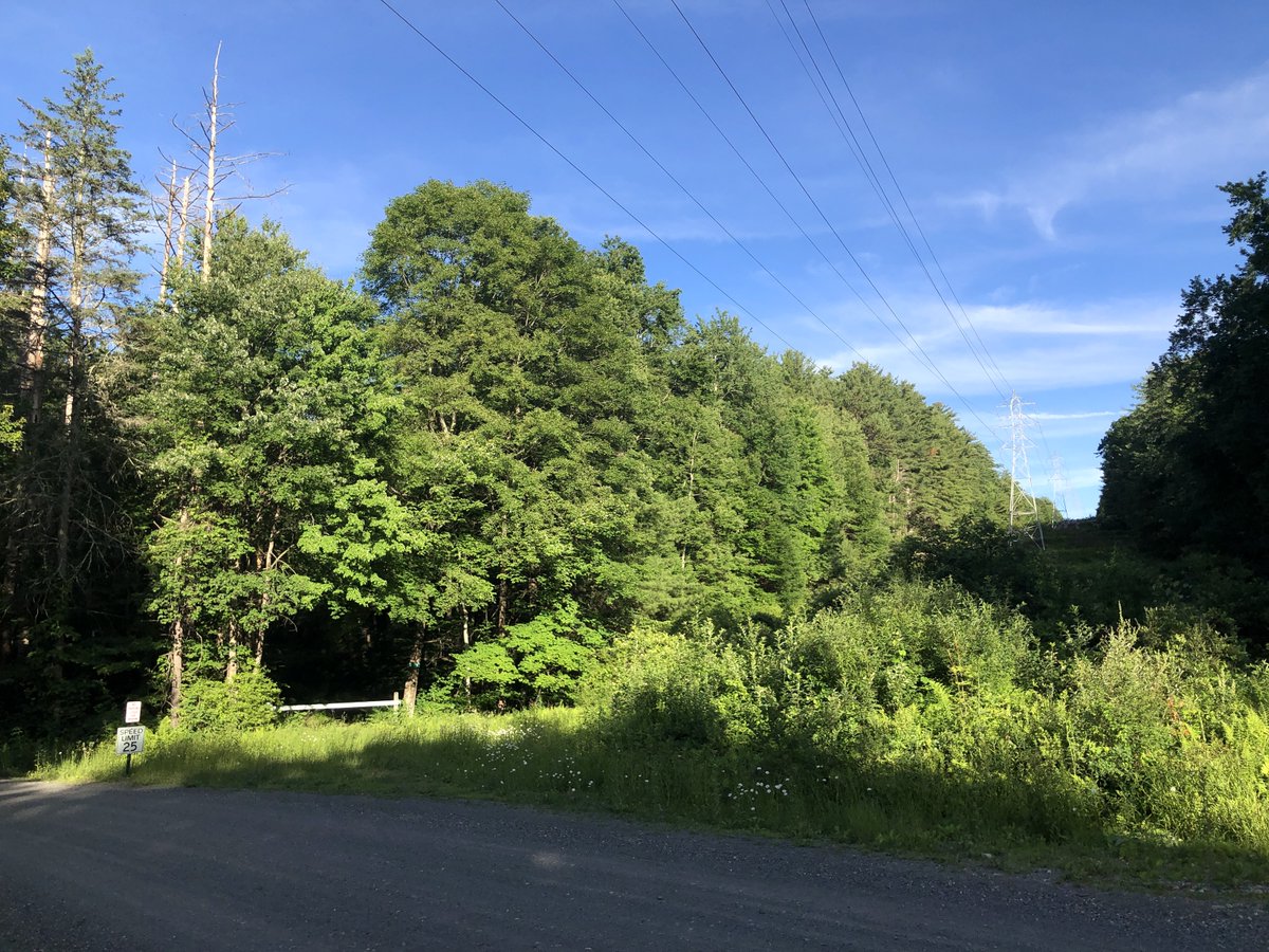 one more voice on Twitter: "RT @sforrest: Today was hill day, so I