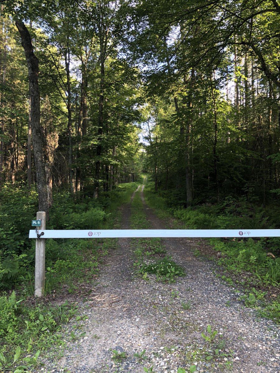 one more voice on Twitter: "RT @sforrest: Today was hill day, so I