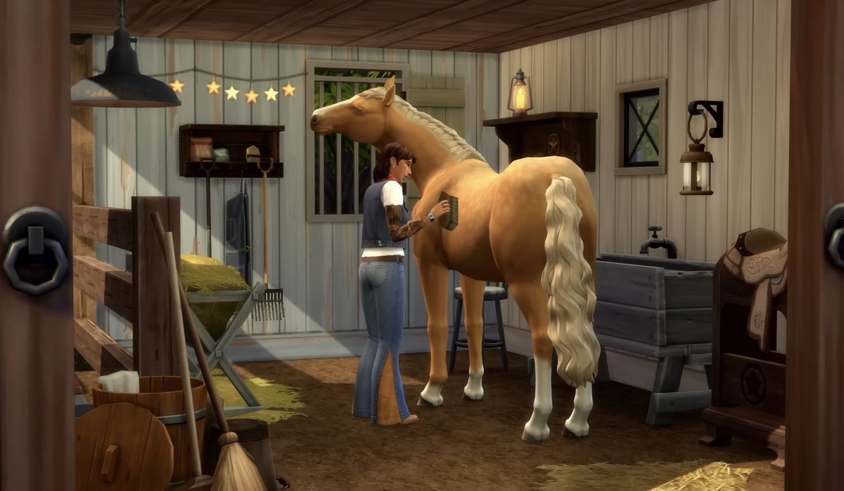 Some things I would still like to see: 

- Equestrian career (non-active is fine, as long as Horse activities are assigned as part of Promotion Goals).
- An ownable stable business where we mind other people’s horses. 
- NPC Errands to return from Cottage Living.