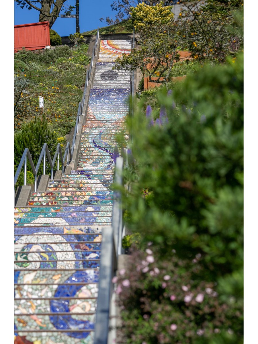 The most beautiful staircase in San Francisco.