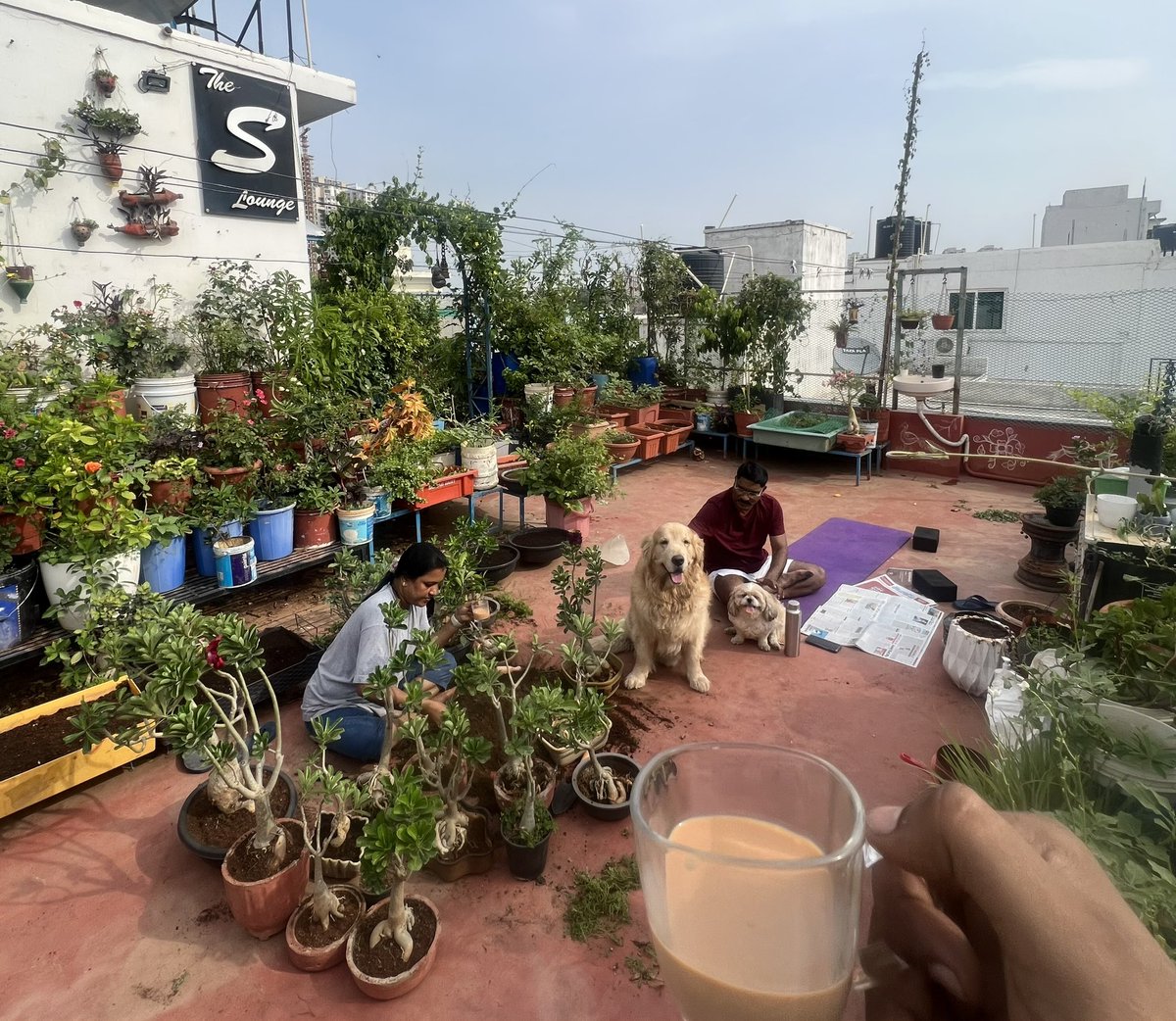 SampathKumarINC's tweet photo. Best things to start the morning with are my Pets & Plants!!
#SLounge #HomeSweetHome #Hyderabad https://t.co/IorTDA2Ttl