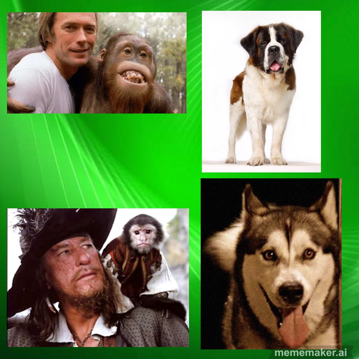 Choose one of these famous movie pets!#bethoven #dunstonchecksin #lostboys #Piratesofthecarribean #moviemayhem
#moviemadness
#chooseyourchampion 
#chooseone
#pickone #famouspets