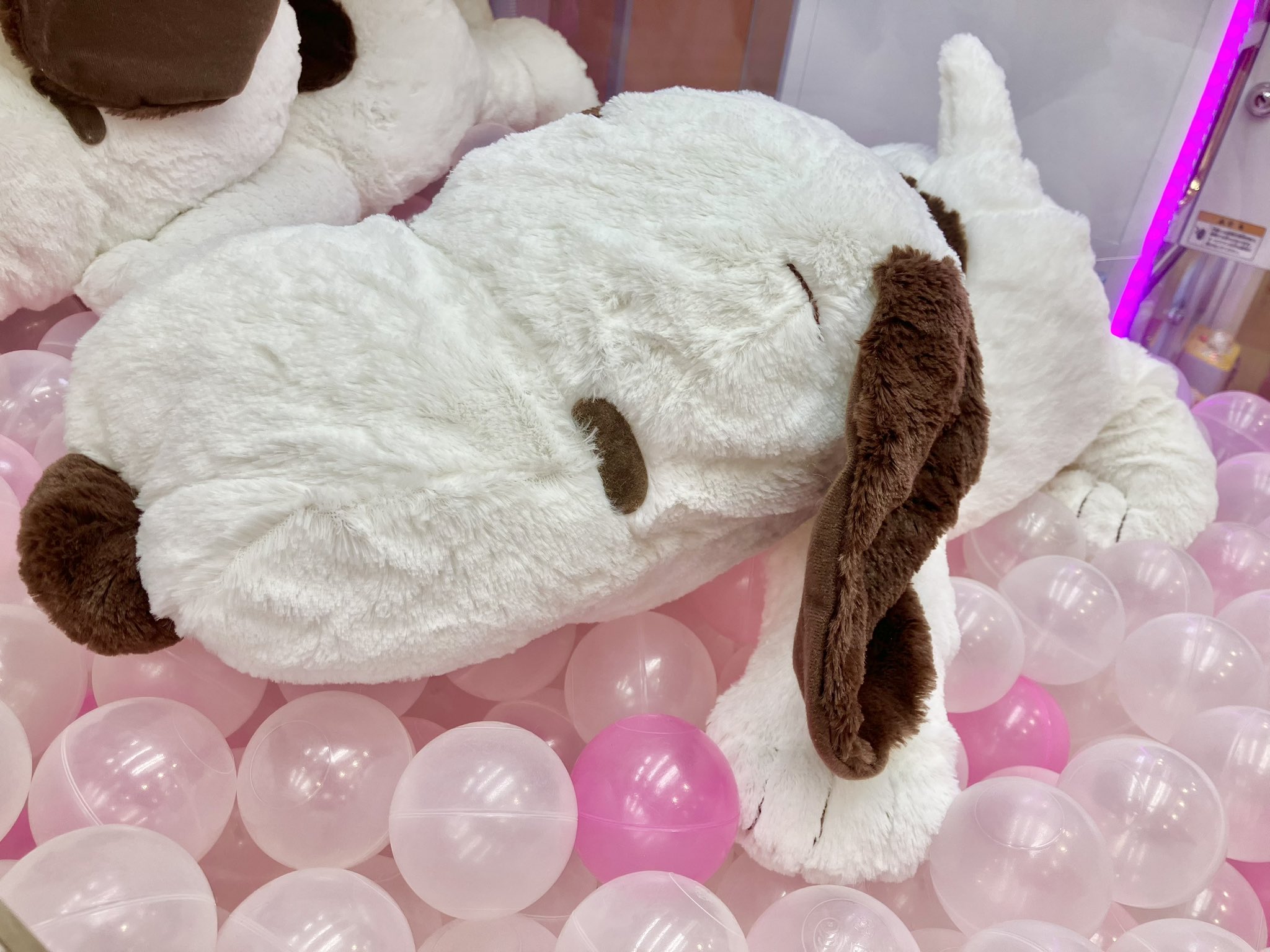 タイトー上野御徒町店 on Twitter: