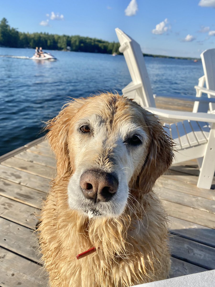 Ms. Clements tweet media