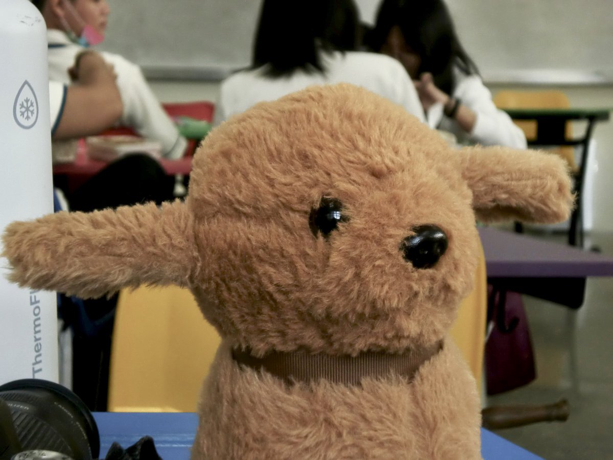 teuhaul's tweet image. wts lfb ph
— casio exilim ex-z90 digicam
₱2,800

🐚 condition: 8/10 (has dent &amp;amp; no flash)

🐄 inclusions: unit, strap, battery
more sample pics on thread

🪽 mod: ggx , grab , lalamove
      mop: bdo or gcash