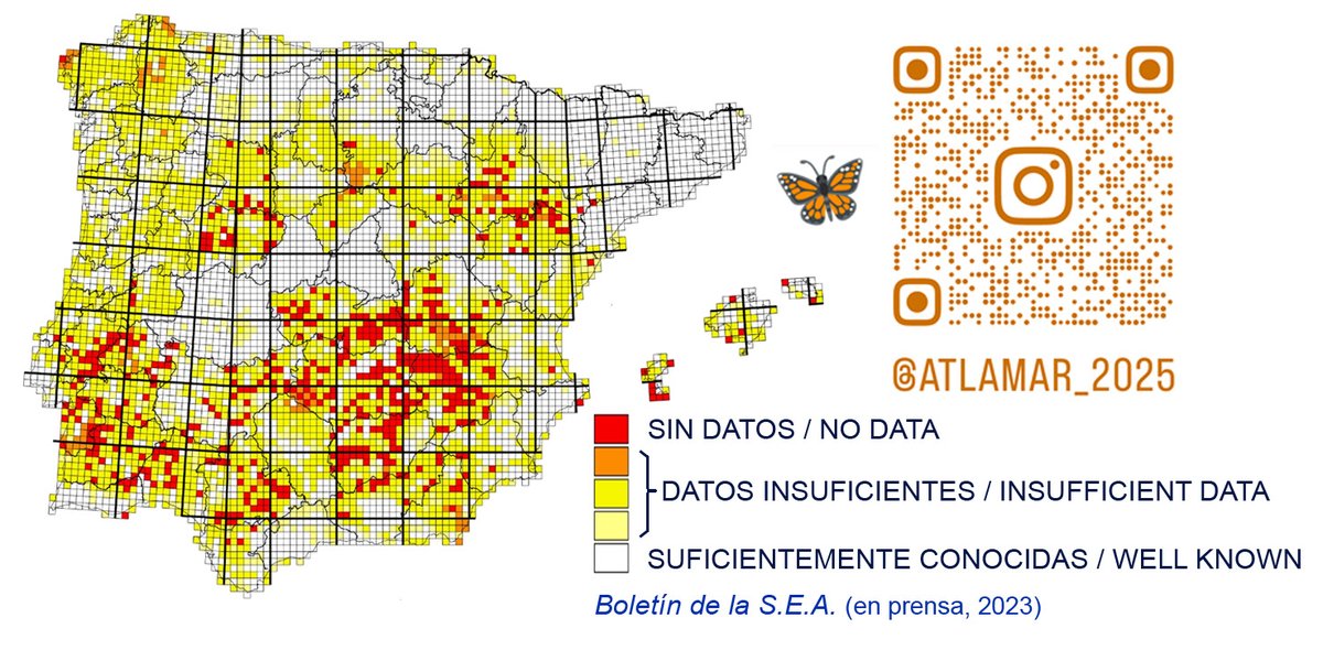 📣For all our butterfly lovers visiting or traveling the #IberianPeninsula this year. There are areas in the peninsula where nobody has recorded a butterfly before and reported it. Spanish colleagues are preparing the new #ButterflyAtlas of Iberia and we need your help 1/3