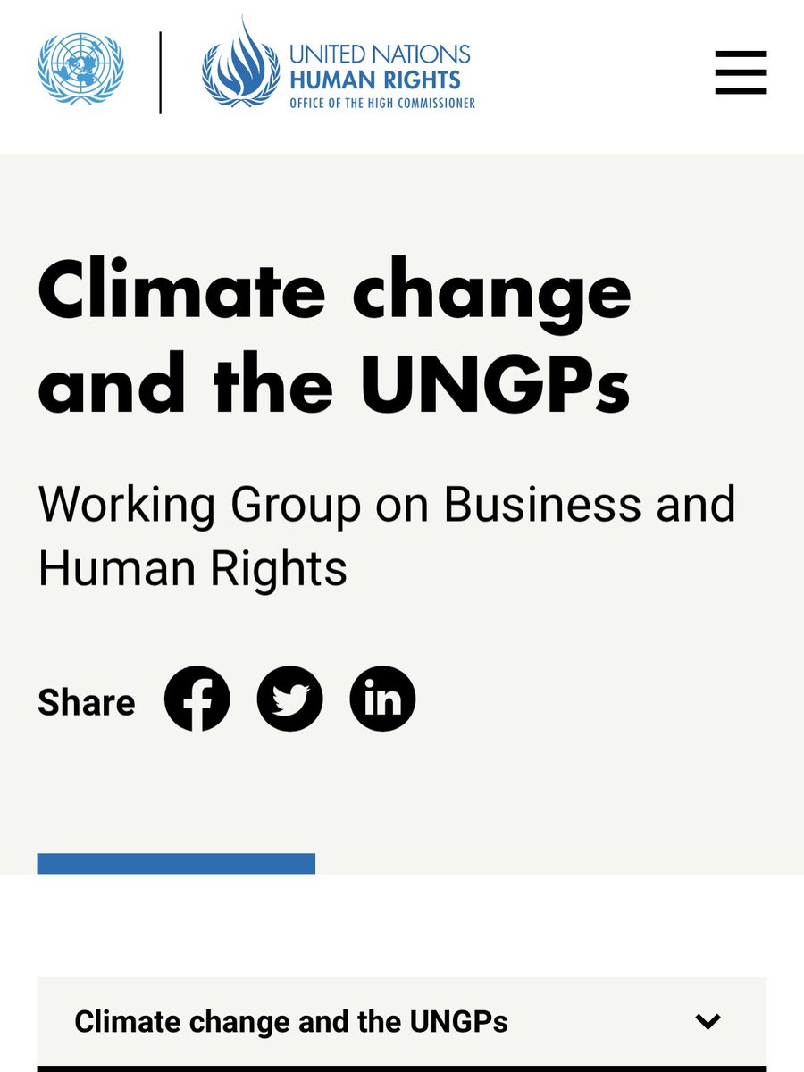 The UN Working Group on Business and Human Rights has produced an Information Note on Climate Change and the UNGPs.

ohchr.org/sites/default/…
#bizhumanrights #humanrights #ClimateAction #ClimateCrisis