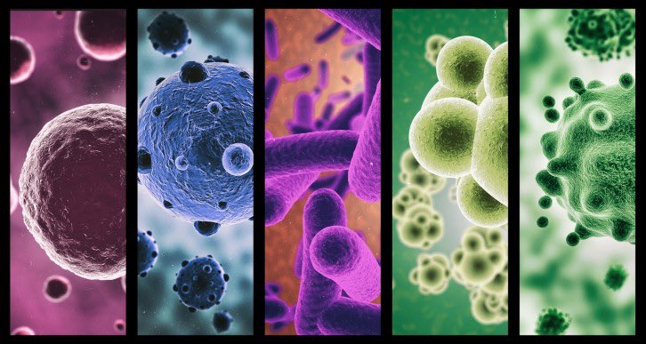 T:👉 The Lancet Oncology dergisi, semptomatik hastalar üzerinde gerçekleştirilen ilk çoklu kanser erken tespit (MCED) testi olan (tek seferlik kan testi) SYMPLIFY'nin sonuçlarını yayınladı. * 

Sağlık şirketi GRAIL ve Oxford Üniversitesi tarafından yürütülen bu çalışma, aile…