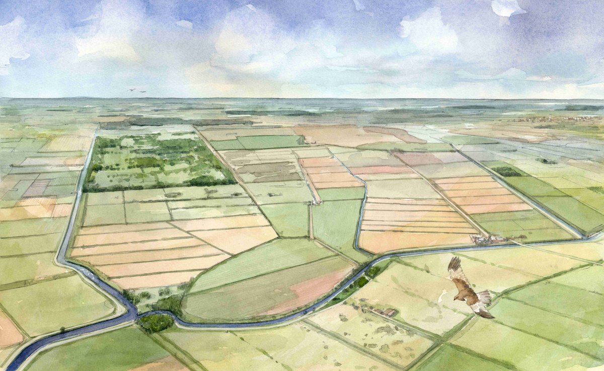 Today is a very special day – we've invited <a href="/HeritageFundUK/">The National Lottery Heritage Fund</a> and the many amazing organisations who will be helping us to make Peatland Progress a reality over the next five years to help us launch the project.
wildlifebcn.org/news/peatland-…
Follow us for more later…
<a href="/WildlifeTrusts/">The Wildlife Trusts</a>