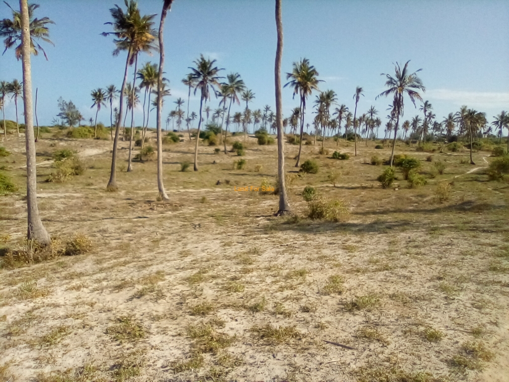 50-Acre Beach Plot For Sale in Bofa Beach-Kilifi

Please see more details on our website using the link below:
bit.ly/44efpkH

Call us at +254 728 990 415 and or +254 773 587 407

#propertiesinkilifi 
#propertiesforsale