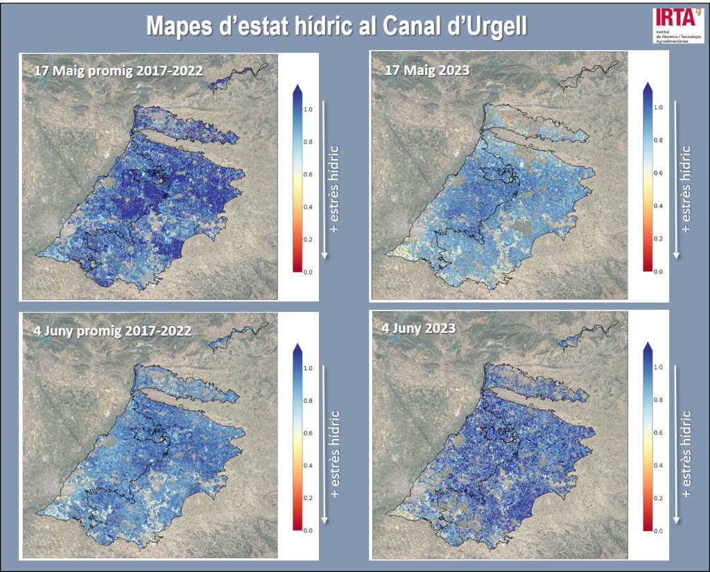 IRTA està fent un seguiment de l'estat hídric dels conreus de les Comunitats de regant del pla de Lleida a través d'imatges de satèl·lits. En aquests mapes es mostra el cas del Canal d'Urgell canalsurgell.cat/actualitat-230… via <a href="/Canals_Urgell/">Comunitat General de Regants dels Canals d'Urgell</a>