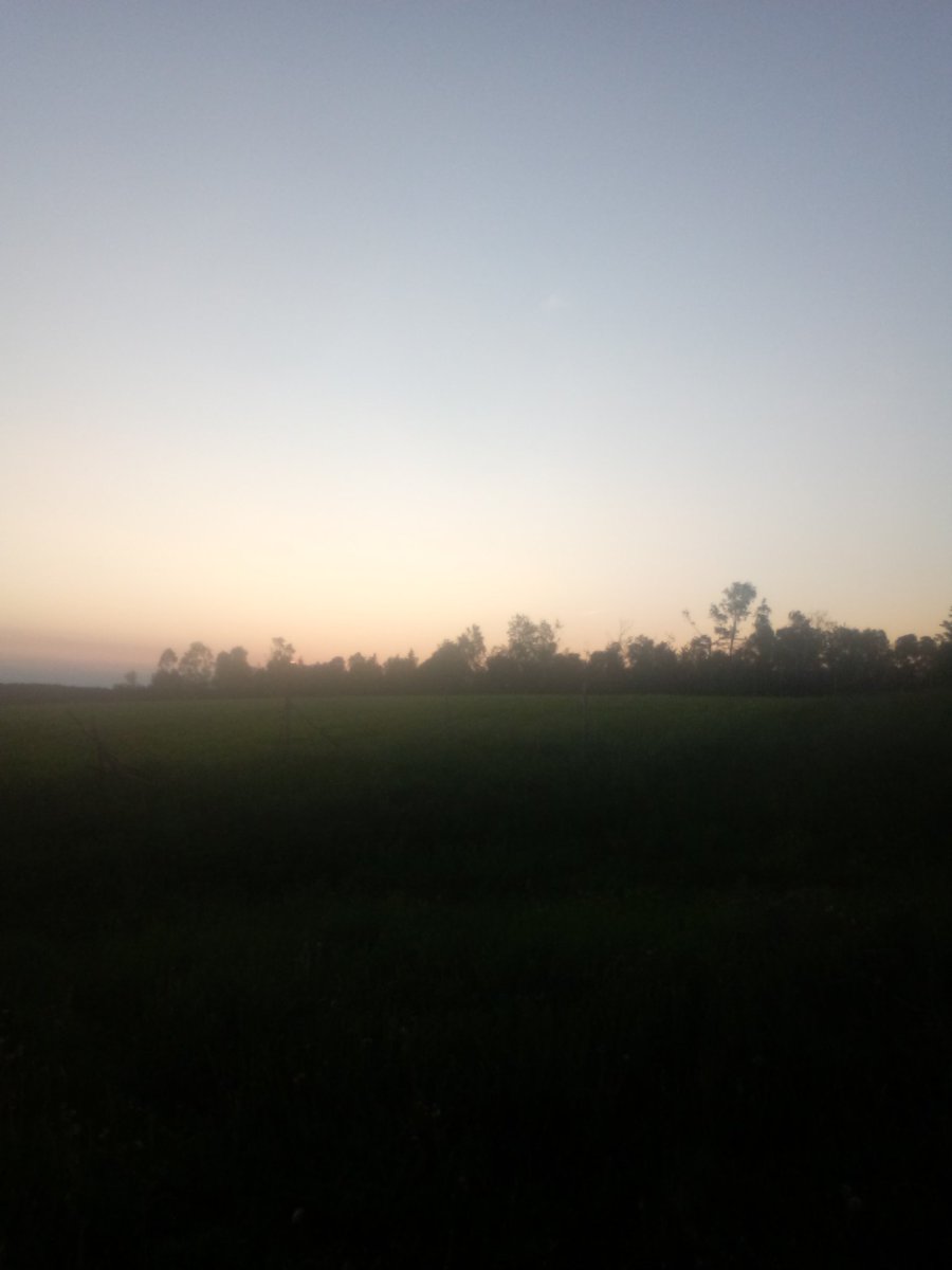 redmudman tweet picture