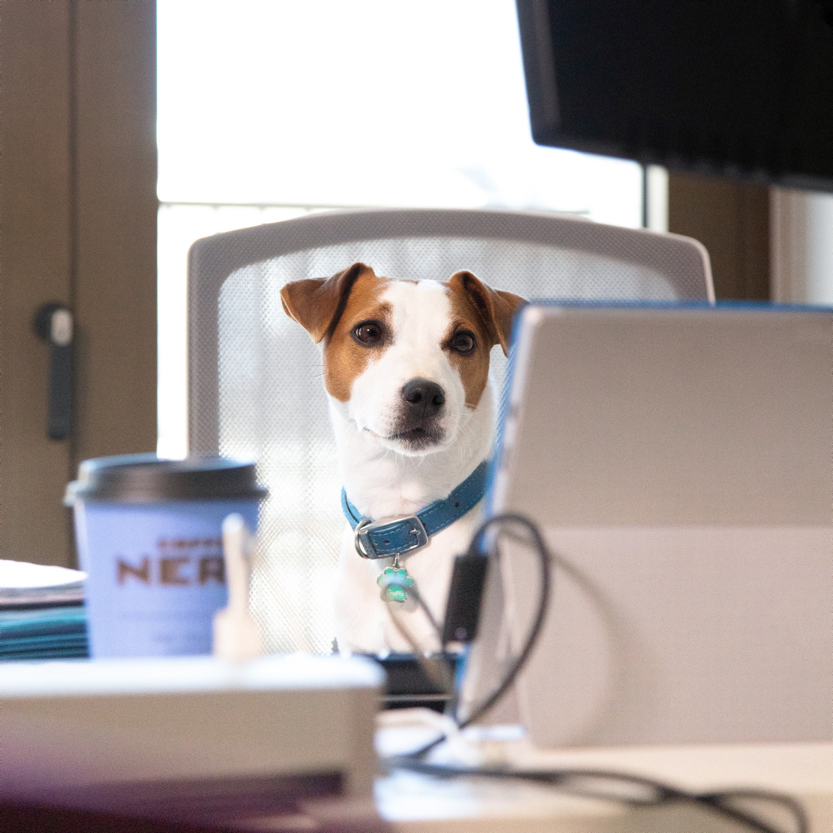 sallysallysally on Twitter "RT Today is Bring Your