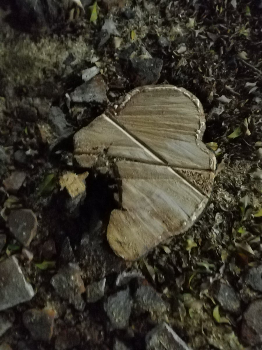 René Fúnez tweet media