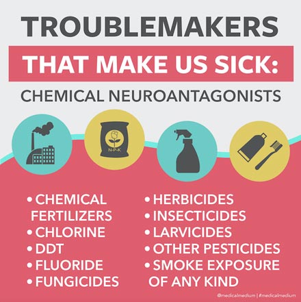 You can read more about the chemical neuroantagonists troublemaker group, here: medicalmedium.com/blog/troublema…
