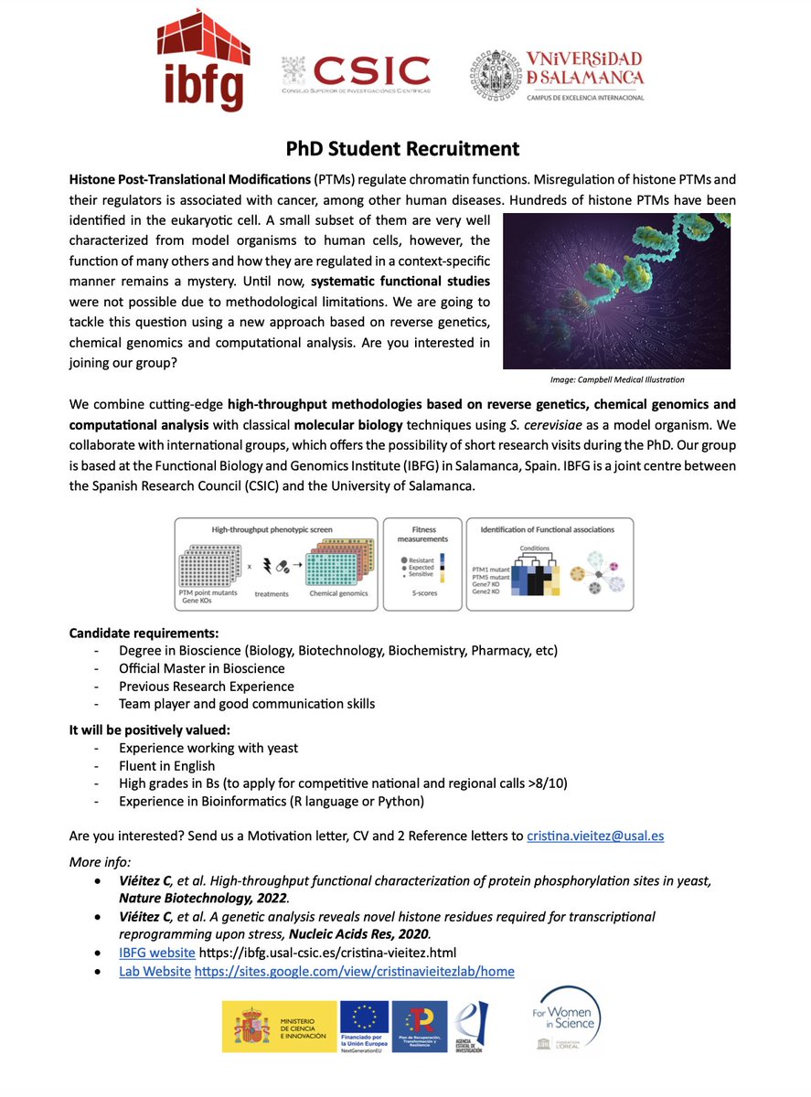 PhD candidate recruitment <a href="/IBFG/">Ileana Gregory</a> to work on #chromatin and #epigenetics in the group of <a href="/Cris_Vieitez/">Cristina Viéitez (@crisvieitez.bsky.social)</a>. 
Do not miss this opportunity! More info here 👇