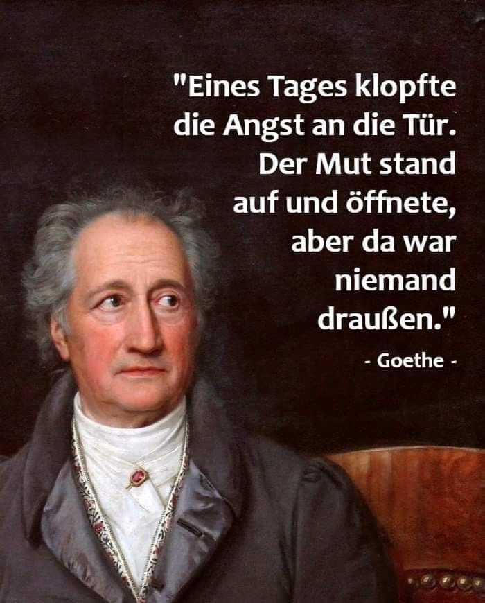 Heute ein etwas spätes „Guten Morgen“🤣🌿🌹