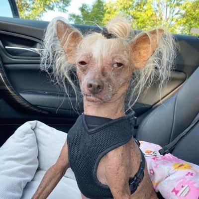 Joni1145's tweet photo. #NewProfilePic https://t.co/dOqvJx1tCX