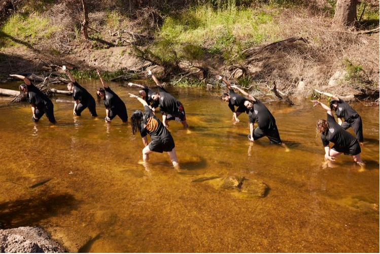 Ngaarda Media tweet media