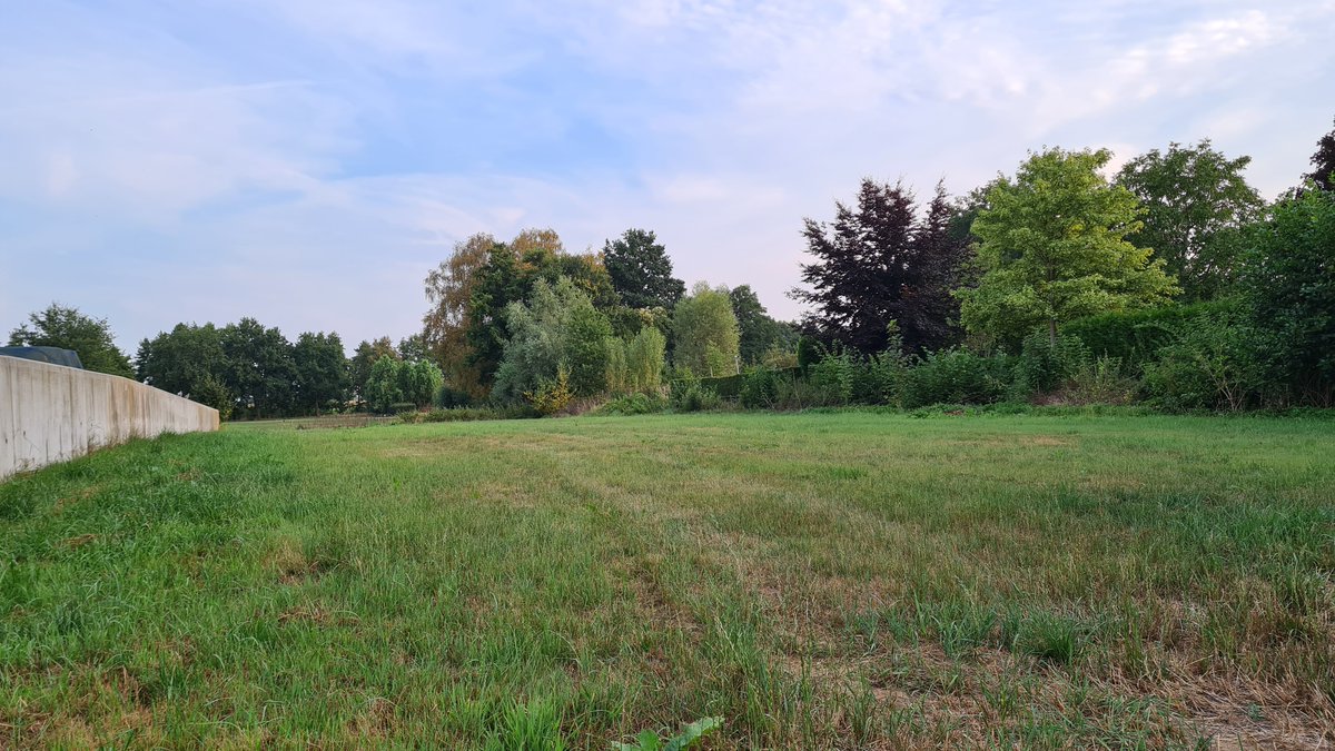 AgroforestryVL's tweet photo. Op bezoek bij de aanplant #agroforestry van @VermeulenRaf. Vorig plantseizoen werd de voormalige weide voor geiten #boslandbouw met bomen struiken voor #kwaliteitshout en #fruitproductie aangeplant. 1500 planten en 50 soorten. Voor en na op de foto's. https://t.co/KVGSaqhmPM