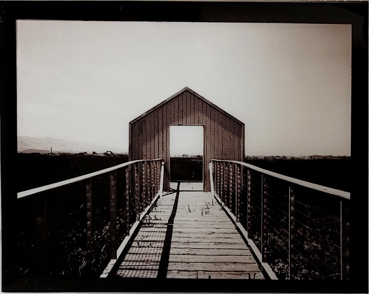 Three crows in a trenchcoat tweet media