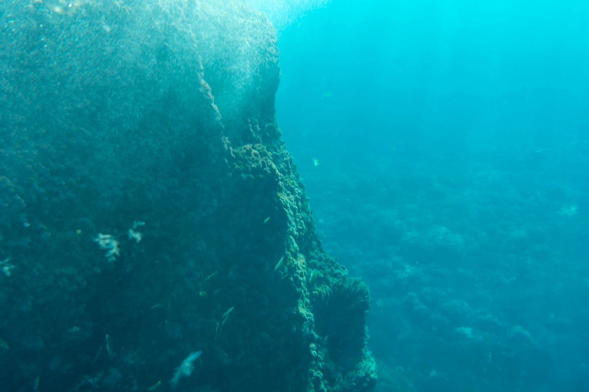 Using a “video sledge”, @Thuenen_aktuell scientists filmed seabeds in the #NorthSea & #BalticSea to visually estimate the amount of #MarineLitter in these areas - revealing more litter than conventional bottom trawl studies have found before. More at buff.ly/463BqVg