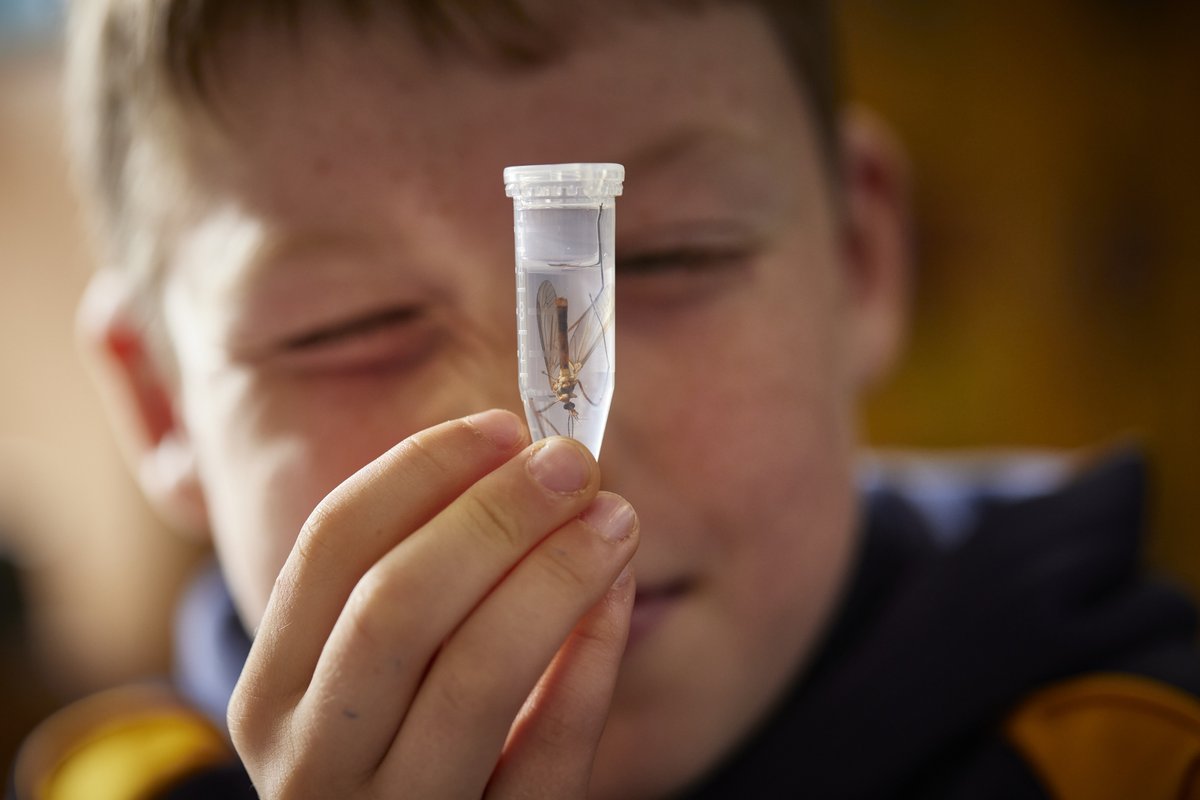 engageWCS's tweet image. #BuzzMap is part of the @BIOSCAN_UK research project. 🦋🦟🐝🐞 

Our team visited local schools for BIOSCAN and set up Malaise traps to catch flying insects. The students monitored the insects and learned to draw them. 

🔗Read more about BIOSCAN: cstu.io/c054ed