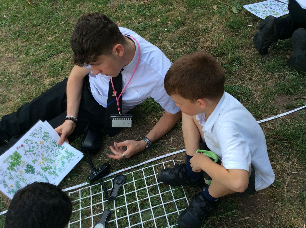 DecoyPri's tweet photo. 🌱 Science at Decoy 🌱
This week we have been joined by some sixth formers from @TorquayBoysGS and their teacher Mrs. Thompson. Children from Year 1 &amp; 2 were chosen to work with them. They made mesocosms and completed a line transect of the plants found on our school bank. https://t.co/79Ms2gYGeT