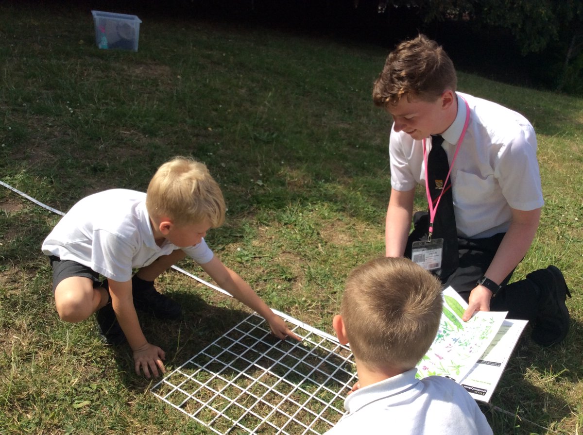 DecoyPri's tweet photo. 🌱 Science at Decoy 🌱
This week we have been joined by some sixth formers from @TorquayBoysGS and their teacher Mrs. Thompson. Children from Year 1 &amp; 2 were chosen to work with them. They made mesocosms and completed a line transect of the plants found on our school bank. https://t.co/79Ms2gYGeT