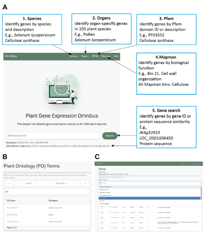 LabMutwil's tweet image. Plant Expression Omnibus (expression.plant.tools) provides multiple comparative transcriptomic analyses. Preprint at biorxiv.org/content/10.110…. Stats: 103 species, 4.6M genes, 60K quality controlled samples, 42K samples annotated with 78 PO terms. 🌱☘️🍃#database #transcriptomics
