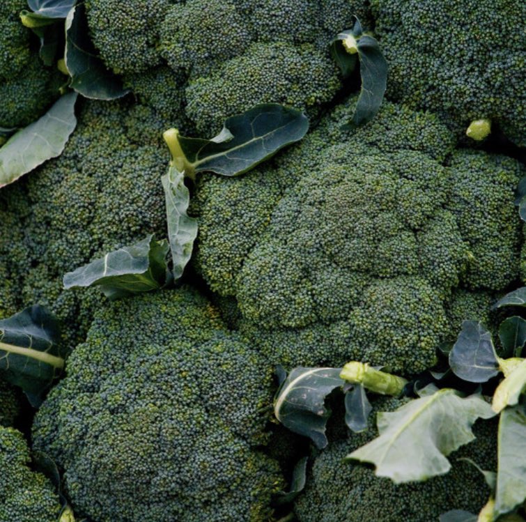 Foodari's tweet image. You know who else has been enjoying the sunshine this week? Broccoli! ☀️ You’ll be pleased to know that local broccoli from Boundary Farm in Wingham is available now.
 
Trevor grows around 390 acres of vegetables on the farm and all are great examples of superb, Kentish produce.
