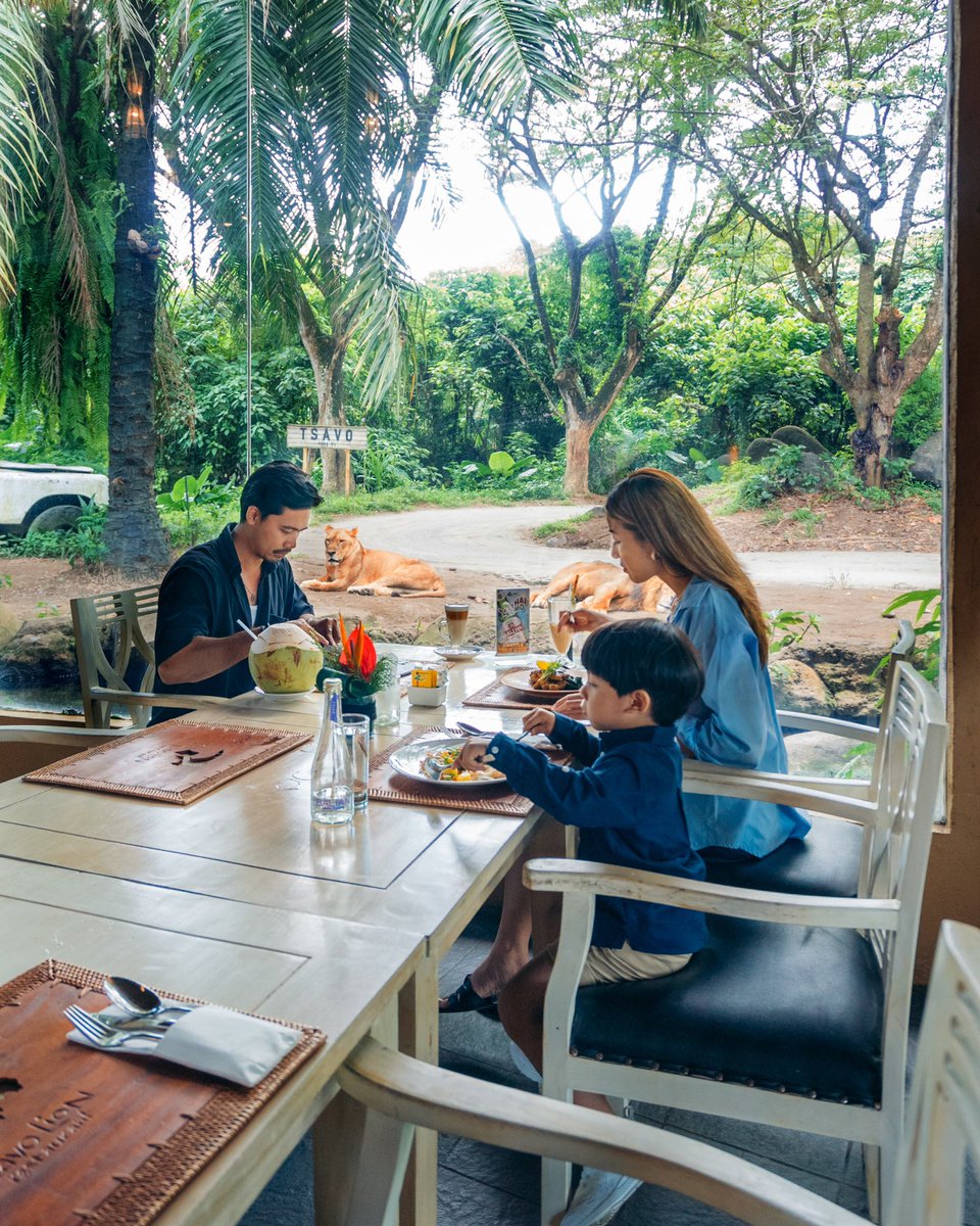 traveloka's tweet photo. Ternyata gini rasanya bangun tidur ketemu jerapah. Makan ditemenin singa dan berenang disamperin zebra 😆

Seru banget nginep di sini! Gak perlu ke Afrika, booking aja resornya di aplikasi Traveloka 🦏🦁🦓 Ada diskon s.d. 50% + kupon diskon s.d. Rp1jt. Cek https://t.co/s1clHWlJTp https://t.co/1emyEAk23y