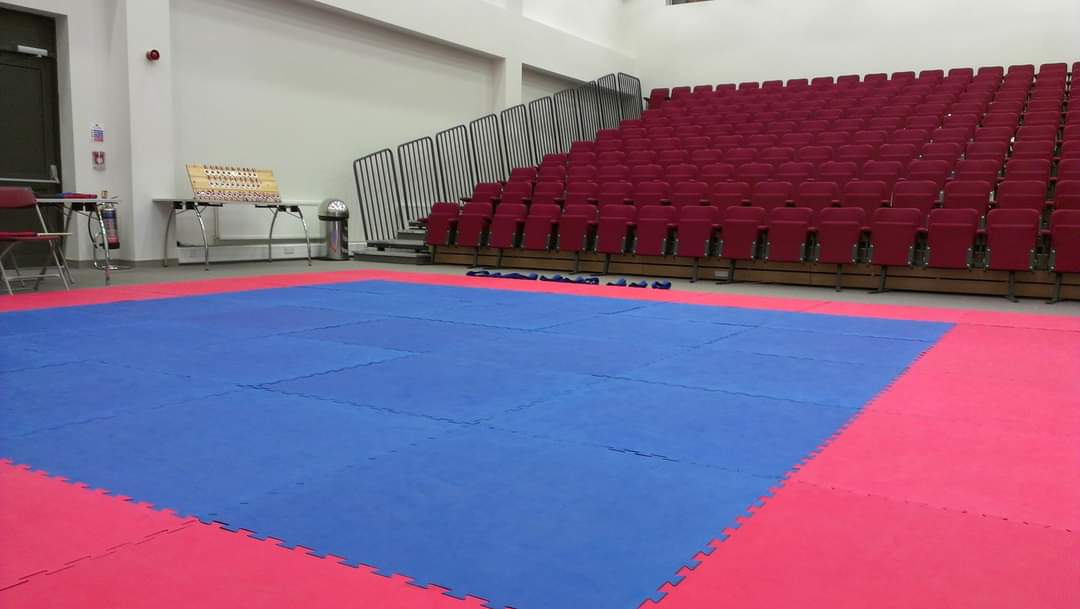 11 years ago, we were able to make use of the fantastic <a href="/hartlepoolfe/">Hartlepool College</a> facilities to test a beginners karate championships for the club. 

It was a great event, with older students delivering all aspects from planning, coaching &amp; refereeing for the younger ones.