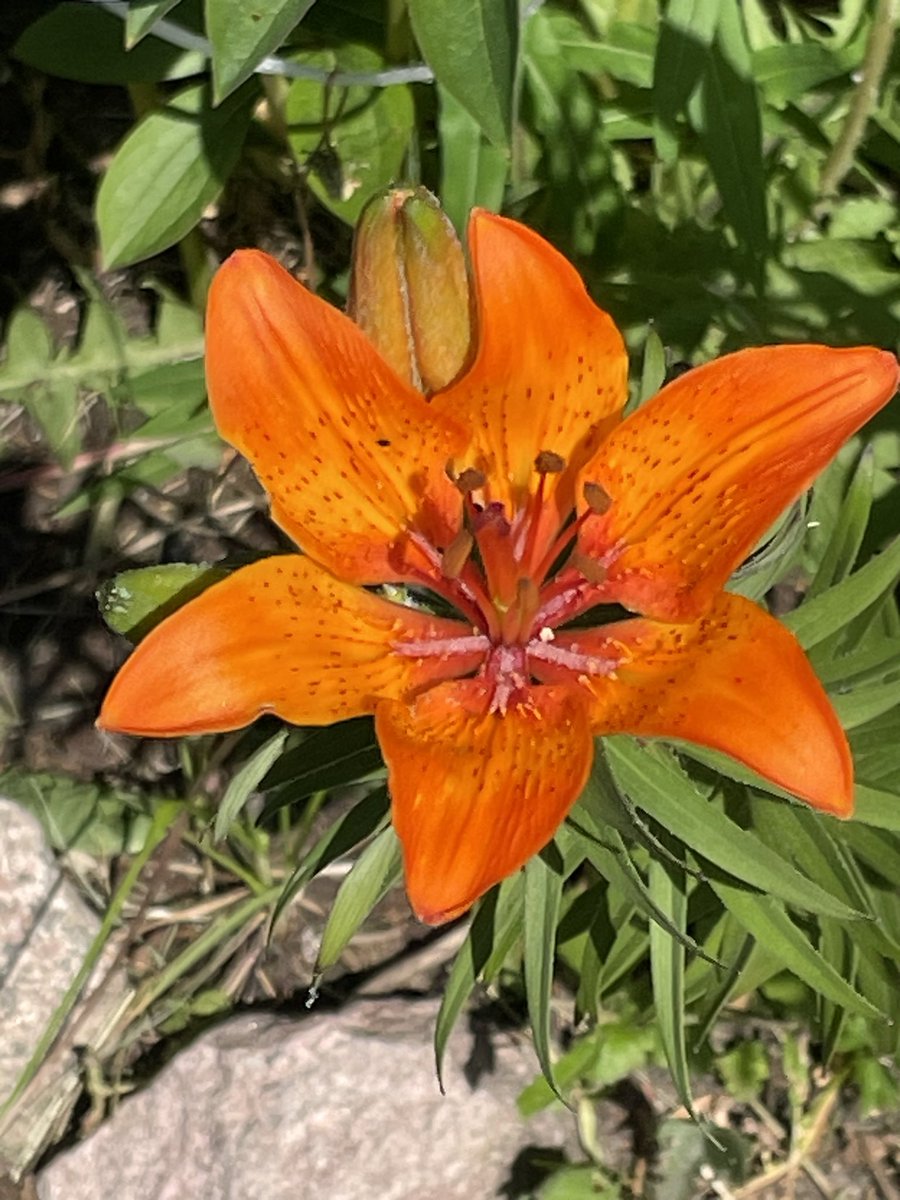 Hyvää juhannusta ympäri Suomen!