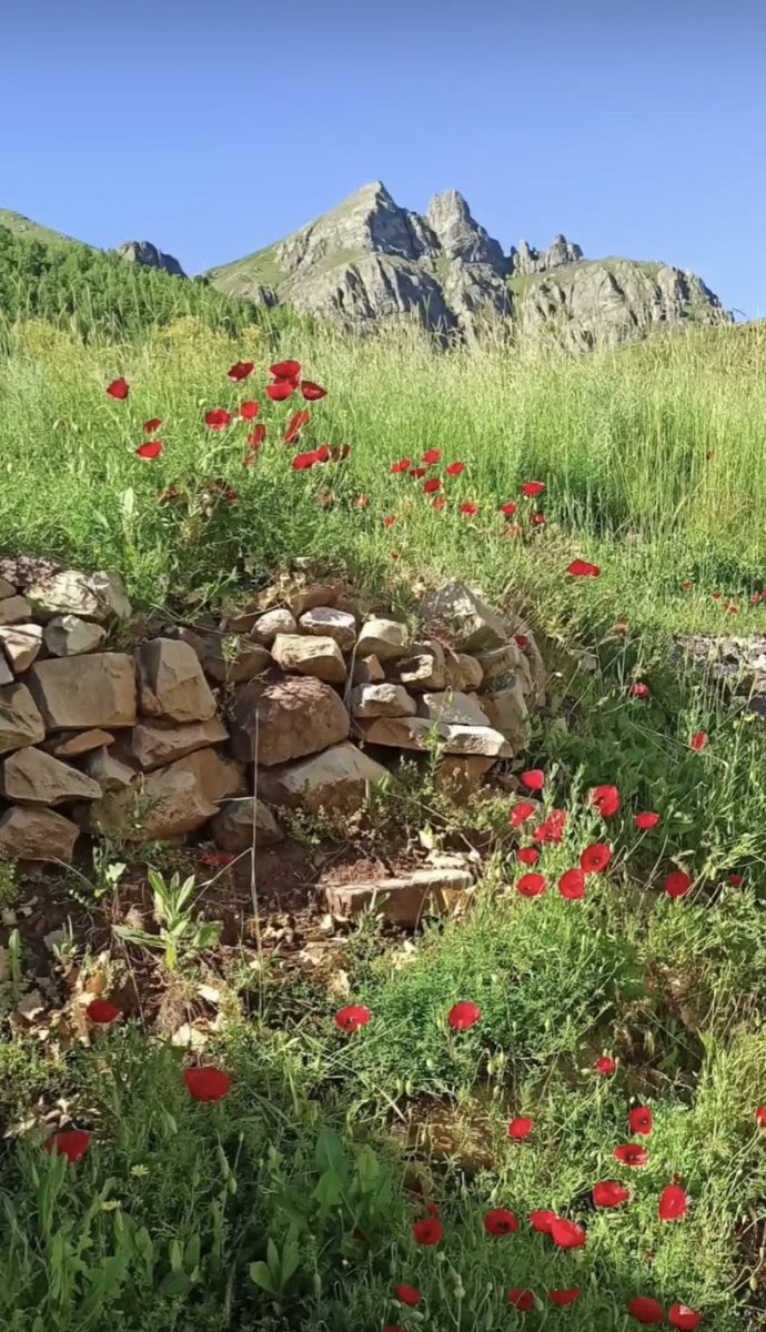 Sıfırdan başlamak gerek bazen
Resetlemek gerek hayatı 
Gereksiz kalabalıklardan uzak..
Güven veren bir kaç dost yeter..
Bir elinde kitap bir elinde kahve
Biraz deniz havası...
Çatışmadan , sahteliklerden uzakta
Yüreğinde sevgi taşıyanlarla benim yolum..

#Günaydın calar ☕️🙏💙🌹