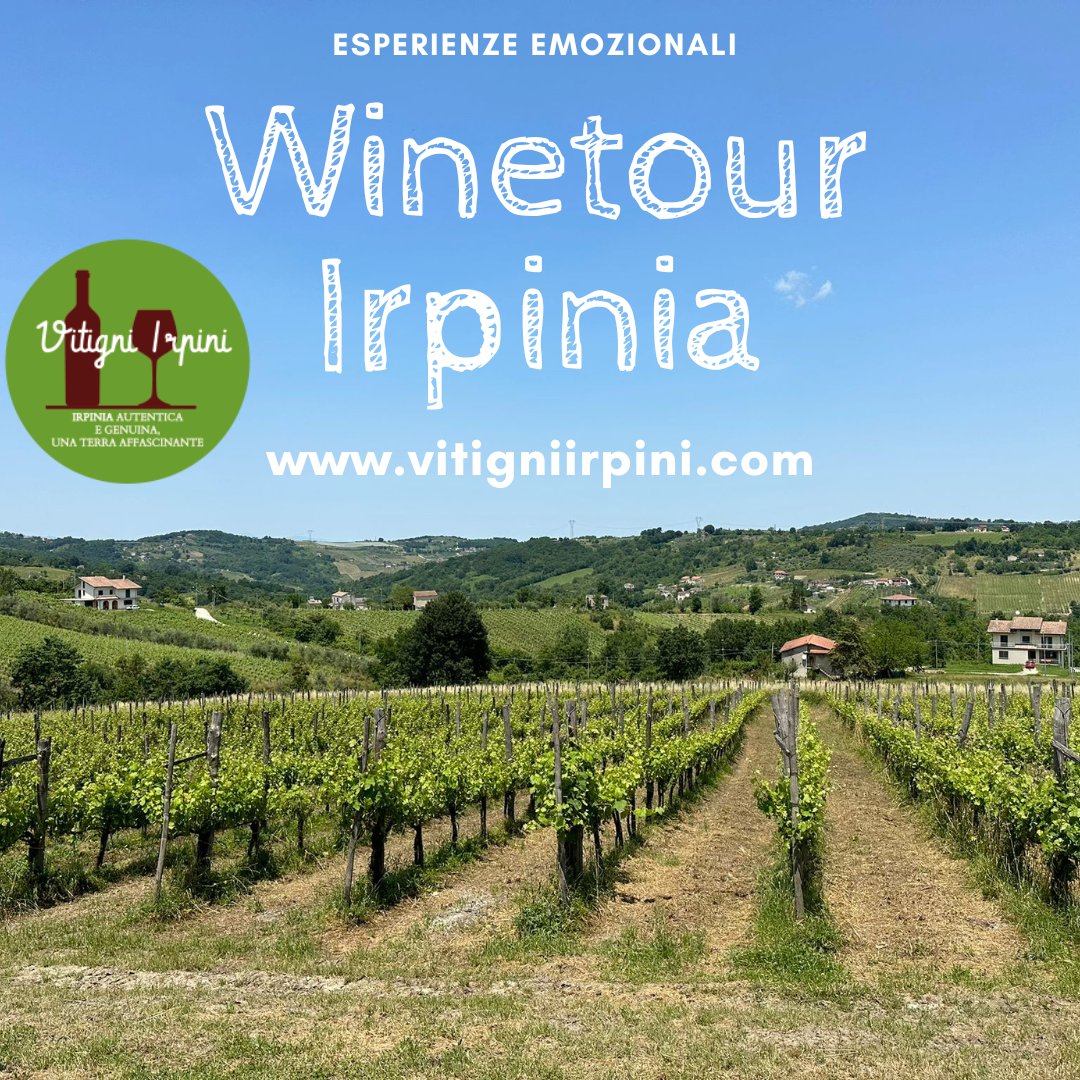 ✅️ Voglia di una giornata con il produttore con passeggiata tra i filari, visita in cantina e degustazione di vini 

✅️ Voglia di un week-end lontano dal kaos, travolti dalla verde Irpinia. Soggiorno, visite in cantine e cene in ristoranti selezionate

#vitigniirpini #wine