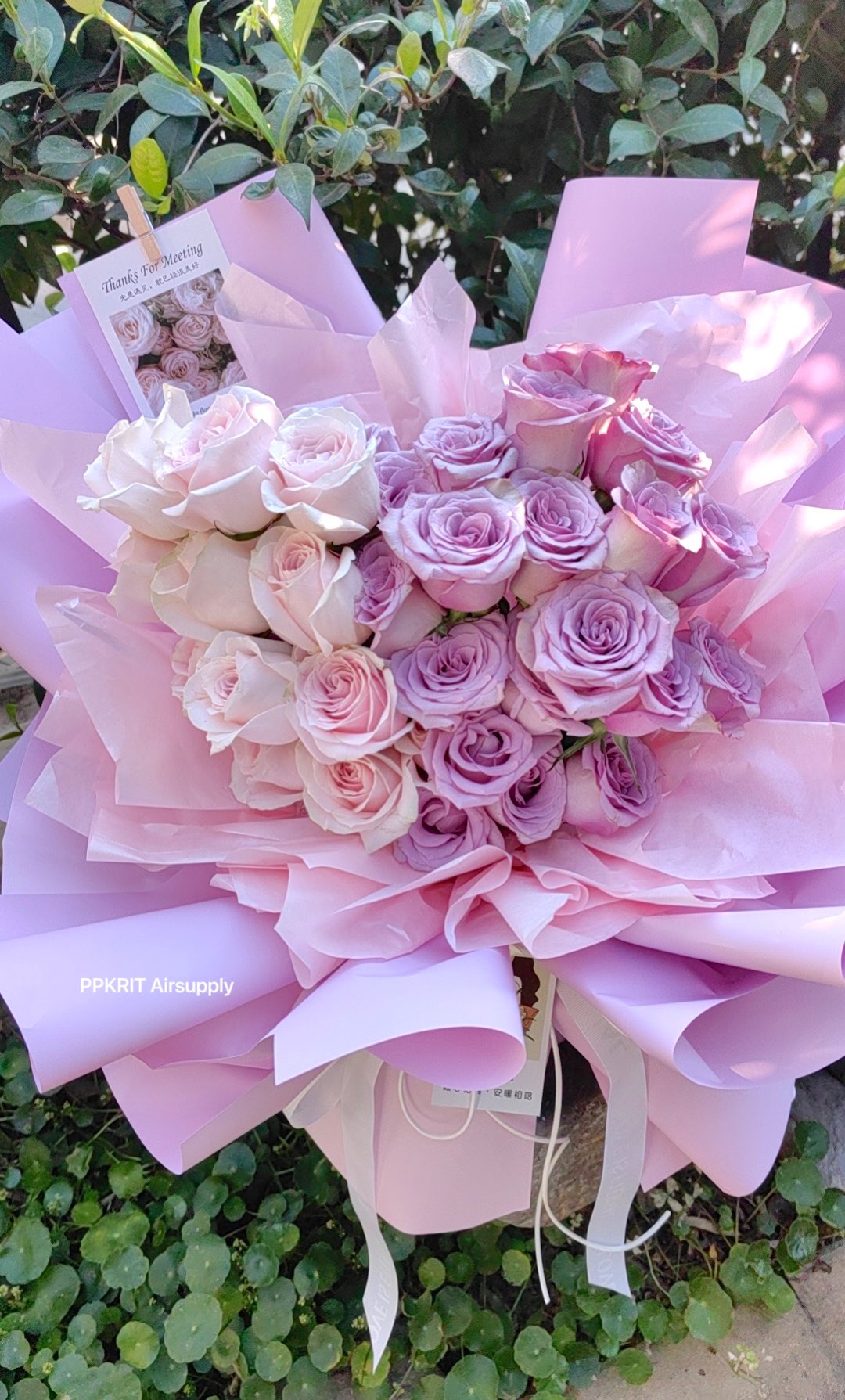 ppkrit-airsupply-on-twitter-hi-ppkrit-welcome-to-china-i-love-all