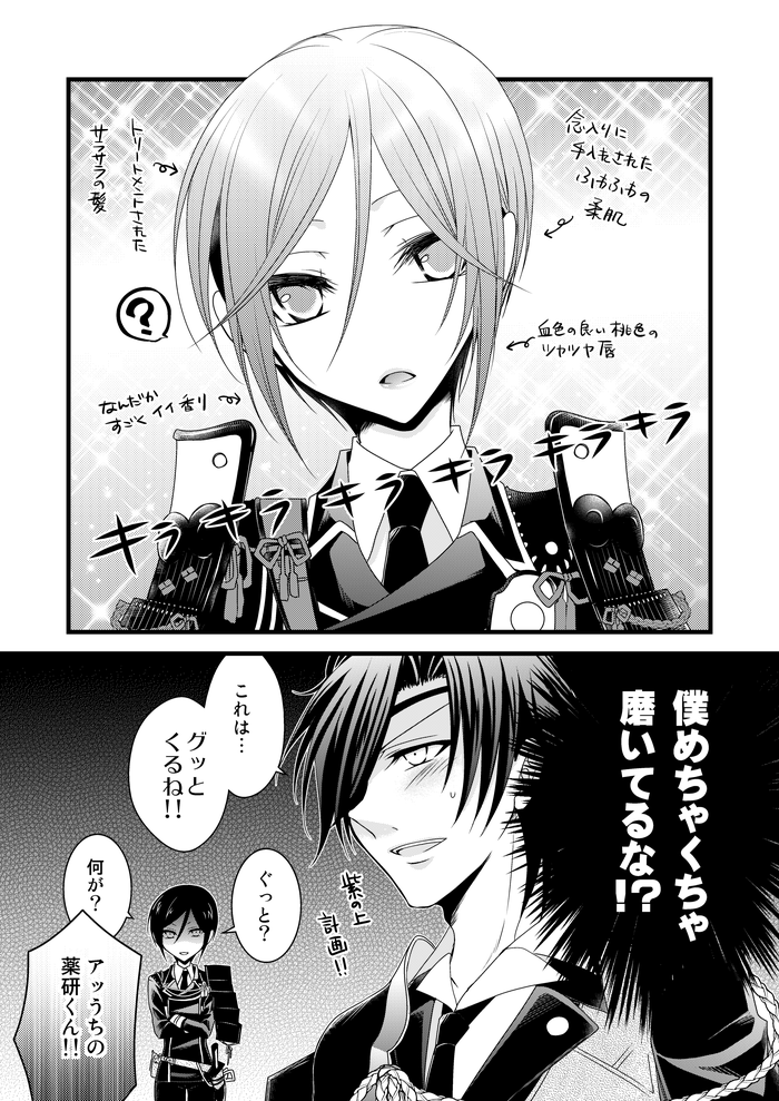 ここは後発の本丸で攻撃力に全振りしてたので短刀がほぼおらず、極実装でようやく短刀を育てる事にしたものの審神者は放任主義だったので、カンストしてた大人刀(太刀や大太刀他)が短刀を育てるというスタンスになった。という本丸の薬研とその世話役燭台切の燭薬。を外から見た漫画。再掲。