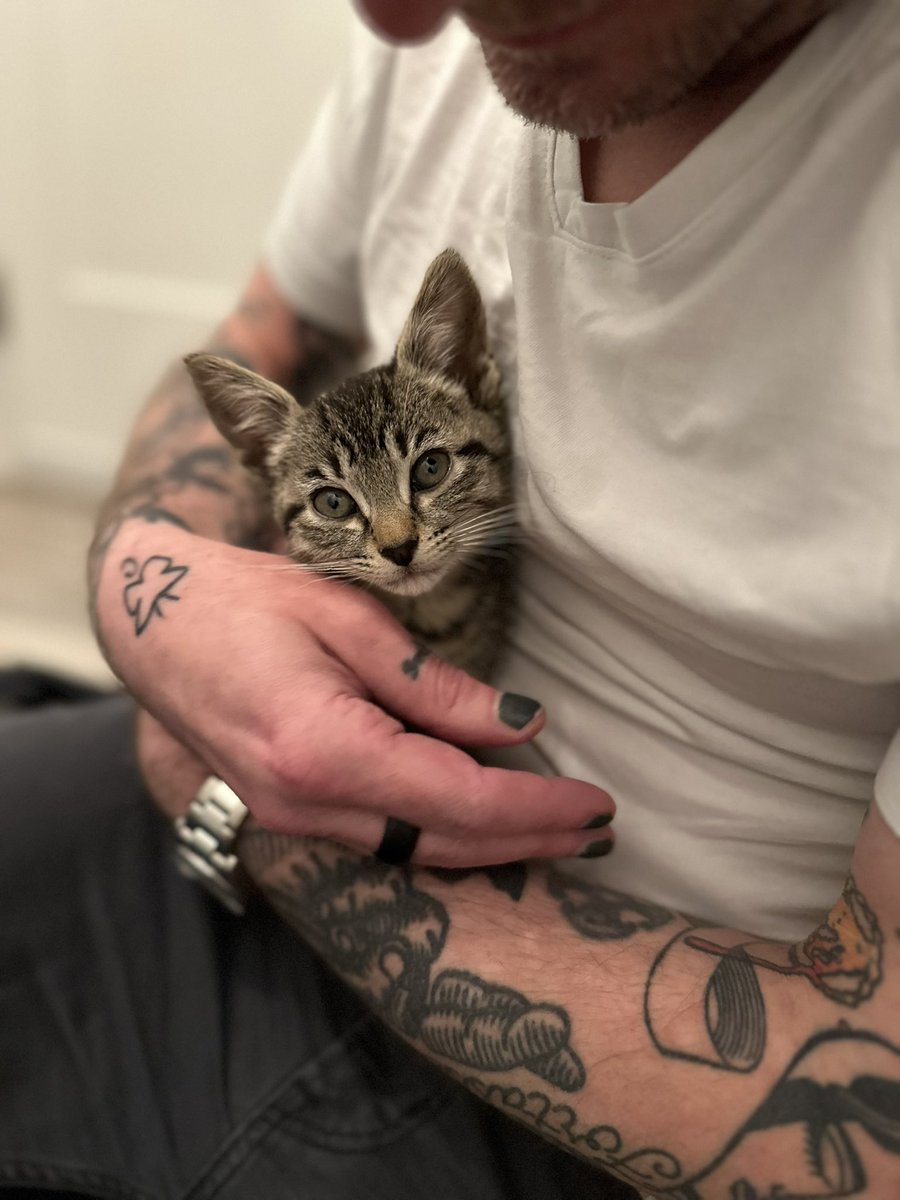 Derek Webb tweet media