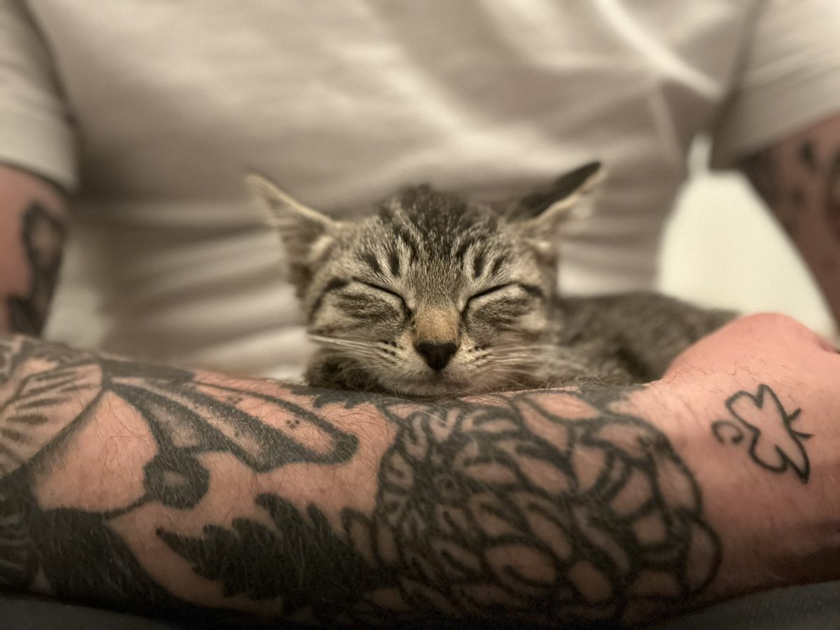 Derek Webb tweet media