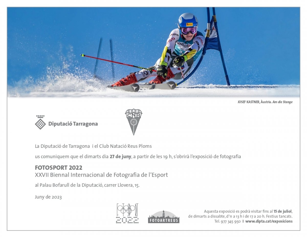 Fed_Cat_Fotografia tweet media