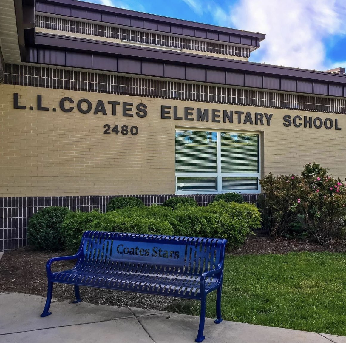 Elizabeth Reed tweet media